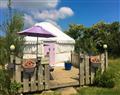 Relax at Lavender Yurt; Cornwall