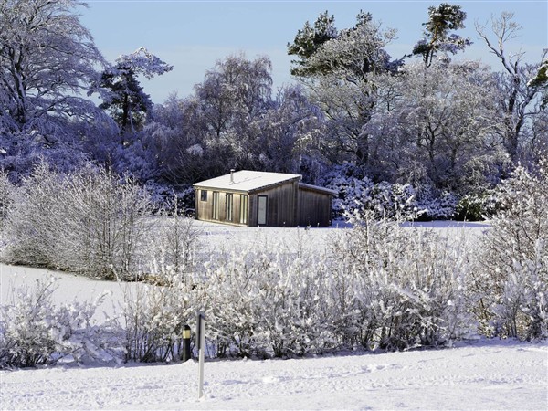 Lawson in Cumbria