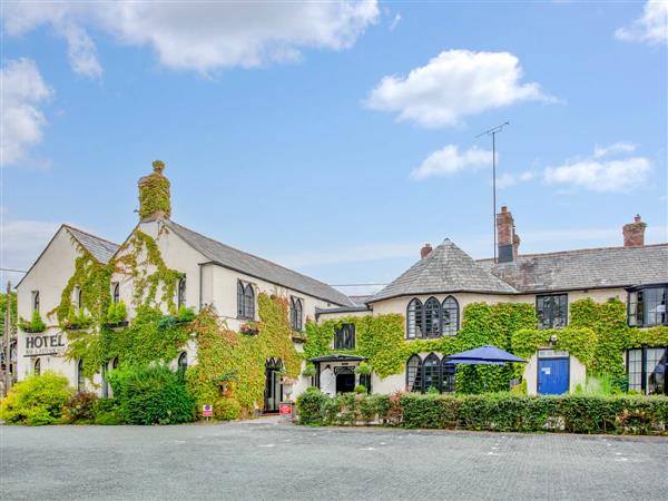 Lifton Hall - Sycamore in Devon