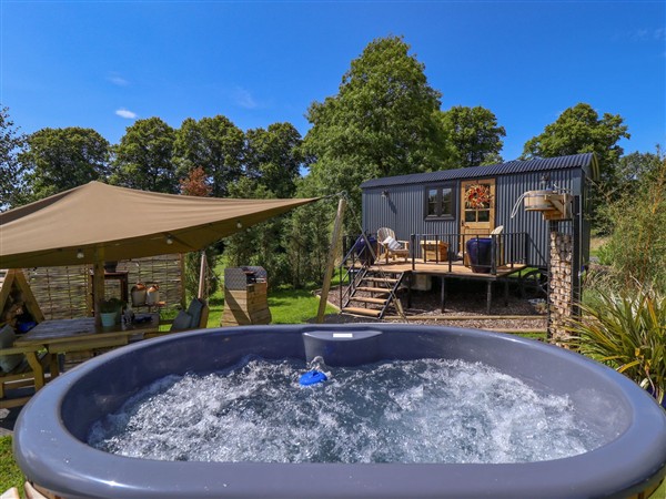 Limetree Luxury Glamping Portland, 