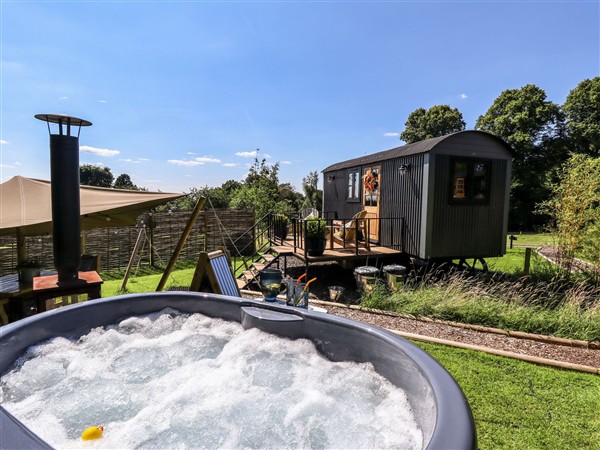 Limetree Luxury Glamping Southdown, 