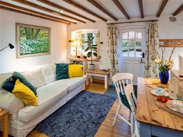 Little Bliss, Lyme Regis