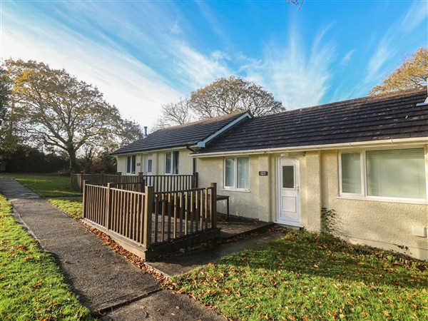 Little Egret - Number 2, 