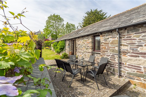 Little Gull, Roserrow