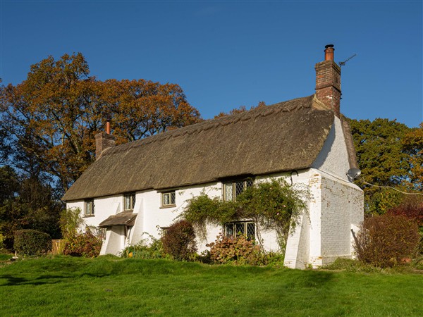 Little Lions Farm in Dorset