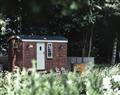 Little Otchan Shepherd's Hut - North Humberside