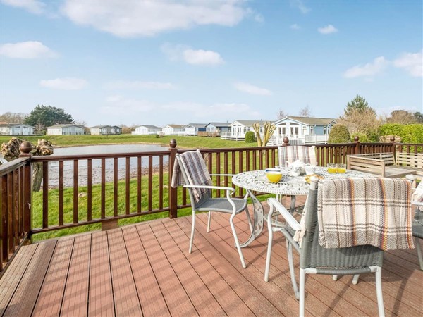 Little Owl in Suffolk