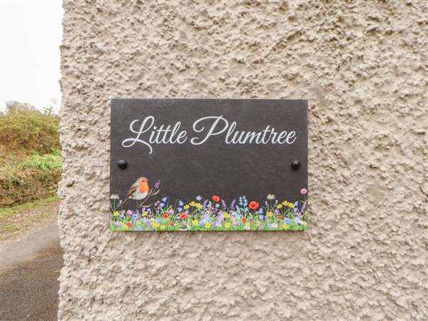 Little Plumtree in Cumbria