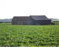 Little Welham  in Bedale - North Yorkshire