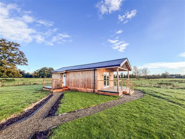 Llwynog Lodge in Powys