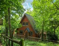 Enjoy a leisurely break at Lodge 68 - Fern Gully; ; Finlakes Holiday Park near Chudleigh