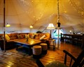 Luxury Glamping Retreat - East Sussex