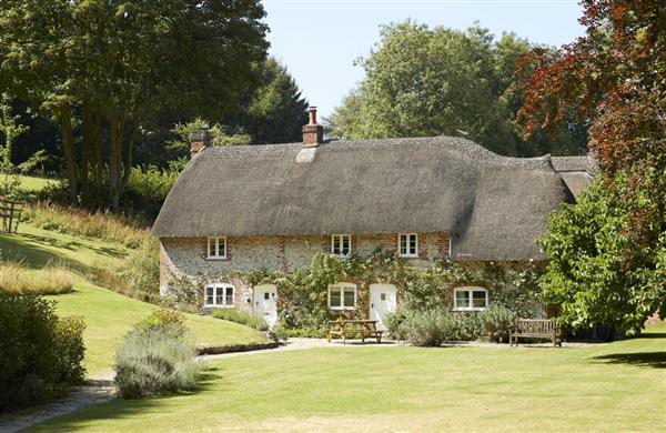 Magna Cottage - Dorset
