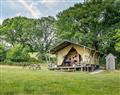 Enjoy a glass of wine at Manor Farm - Tent 1 Deerland; Dorset