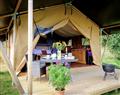 Relax at Manor Farm - Tent 3 Oak Apple Lodge; Dorset