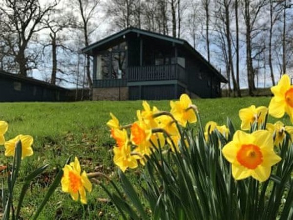 Maple Chalet 18 in Perthshire