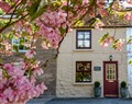 Maple Cottage - Durham