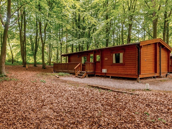 Maple Lodge, 
