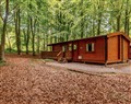 Maple Lodge - Lincolnshire