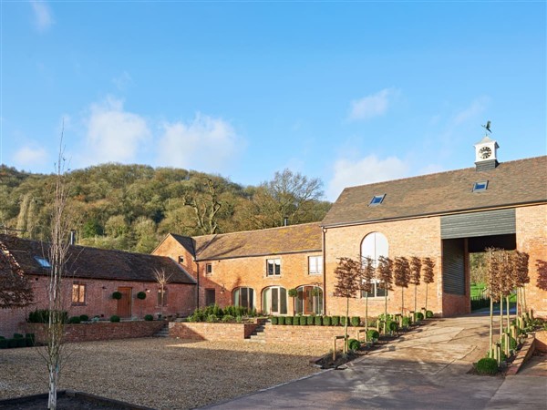 Maple Pheasant in Worcestershire