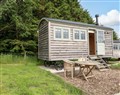Meadow Shepherds Hut - Derbyshire