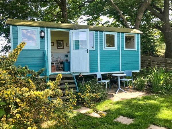 Meadowsweet in East Sussex