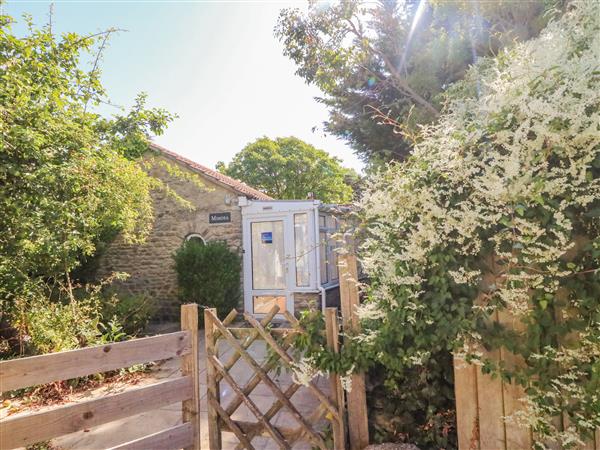 Mimosa Cottage in Dorset