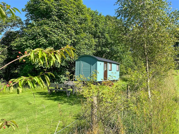 Misty Shepherds Hut in Dyfed