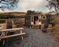 Lay in a Hot Tub at Moelfre - Shepherds Hut; ; Llanbedr