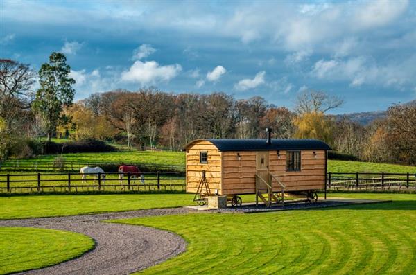 Monkwood Shepherds Hut - Worcestershire