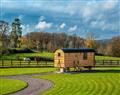Monkwood Shepherds Hut in  Wichenford, Worcestershire - Worcestershire