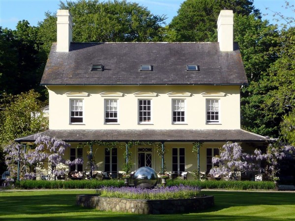 Moss Efailnewydd in Gwynedd