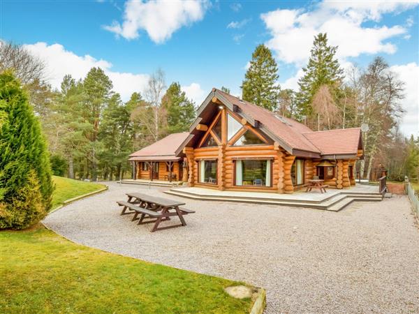 Mountain Bear Lodge in Nethy Bridge, near Aviemore, Highlands, Inverness-Shire