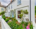 Mulberry Cottage in Wells-next-the-Sea - Norfolk