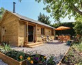 Nelli Lodge at Mile End - Devon