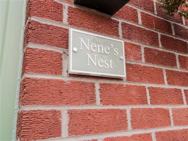 Nene's Nest, 