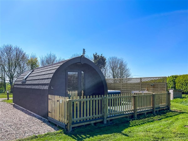 Oak in North Yorkshire