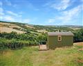 Enjoy a glass of wine at Oak Hut; ; Wiveliscombe