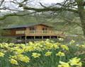 Oak Lodge in Narberth - Tenby