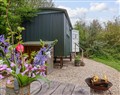 Enjoy a glass of wine at Oak Shepherd Hut; ; Monkton Wyld near Charmouth
