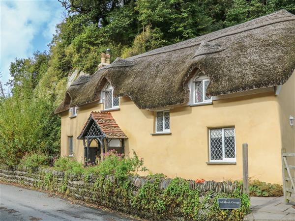 Old Maids Cottage - Devon