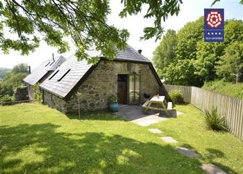Old Traine Cottage - Devon