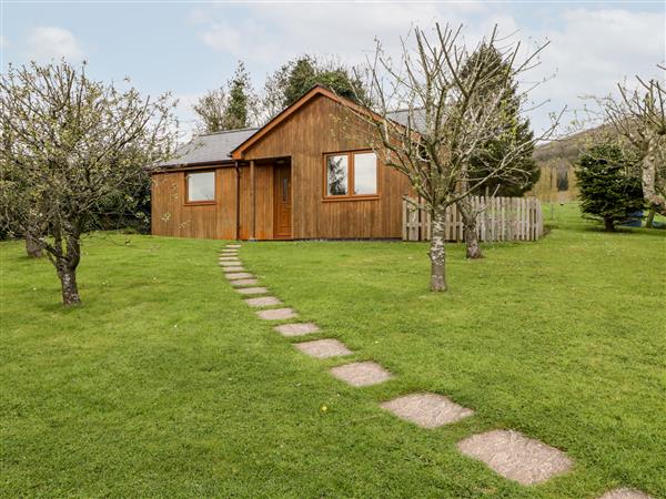Orchard Cottage - Herefordshire