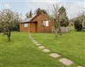 Orchard Cottage - Herefordshire