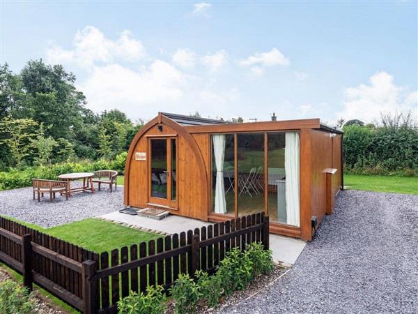 Orchard Glamping - Blossom in Catterall, Lancashire