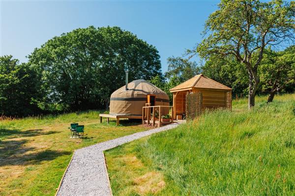 Orchard Yurt - Somerset