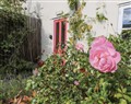 Over Village Studio - Cambridgeshire