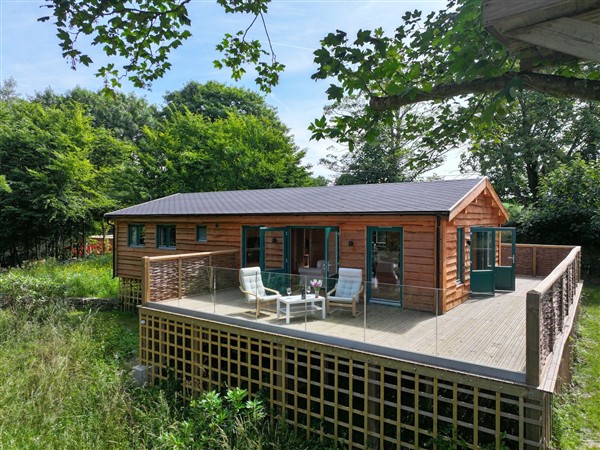 Owl Lodge - Cornwall