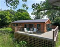 Owl Lodge - Cornwall