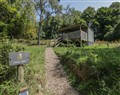 Owls Nest Lodge - Devon